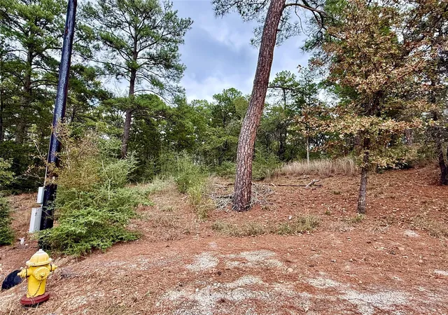 3rd image of 109 And 115 Olomana Ct, Bastrop, TX 78602 | MLS# 1663778