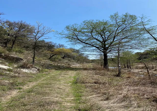 22nd image of 7301 Creek Rd, Dripping Springs, TX 78620 | MLS# 6397240