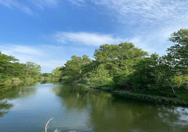 5th image of 7301 Creek Rd, Dripping Springs, TX 78620 | MLS# 6397240