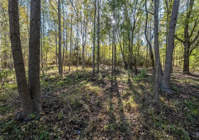 Photo 25 of Land for sale at 380 An County Rd 370, Palestine, TX 75801 | MLS# 8353289 | Listing updated on 2026-03-16