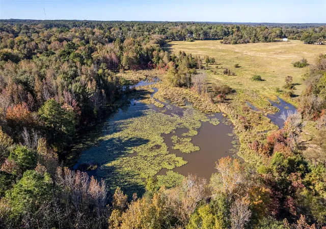 Photo 3 of House for sale at 380 An County Rd 370, Palestine, TX 75801 | MLS# 8353289 | Listing updated on 2026-03-16