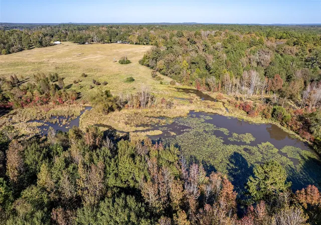 Photo 4 of House for sale at 380 An County Rd 370, Palestine, TX 75801 | MLS# 8353289 | Listing updated on 2026-03-16