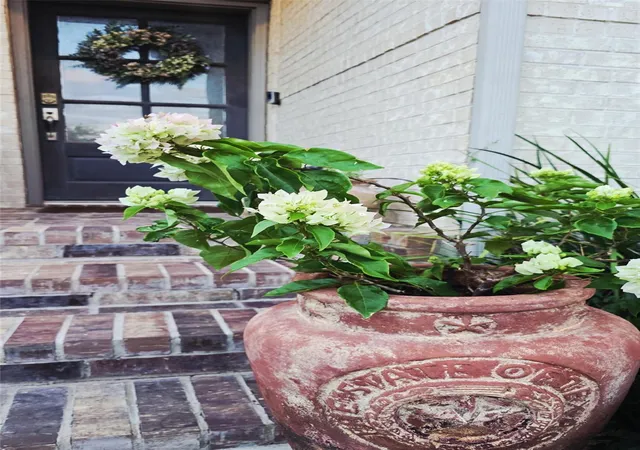 Photo 2 of Single family home for sale at 242 Freeman Loop Freeman Loop, Liberty Hill, TX 78642 | MLS# 1835143 | Listing updated on 2026-09-06