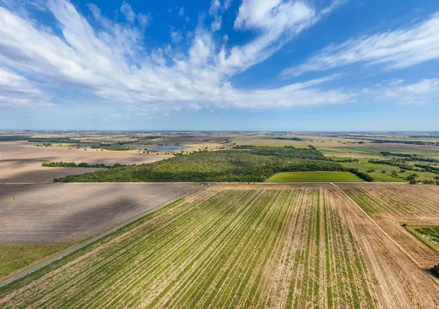 Photo 3 of Land for sale at 1451 Cr 483, Taylor, TX 76574 | MLS# 5639567 | Listing updated on 2026-06-09