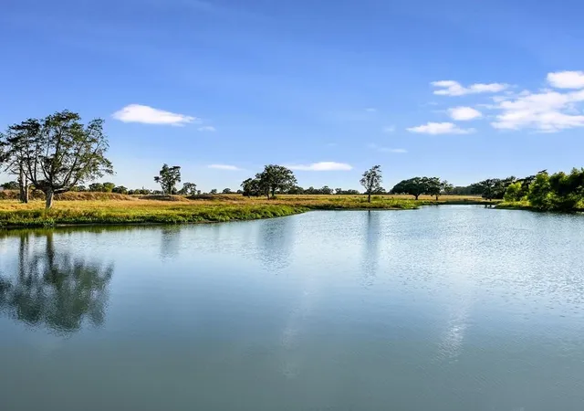 Homes for sale in Giddings, TX | 1584 County Road 226 Rd, Giddings, TX 78942 | MLS# 6926826