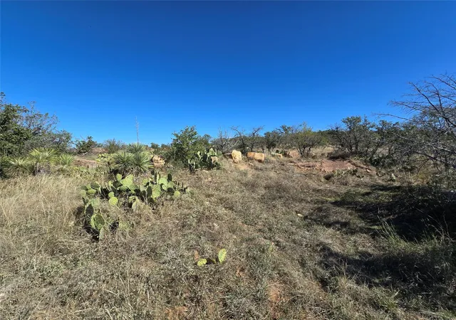 3rd image of 69 Peninsula Dr, Burnet, TX 78611 | MLS# 7009458