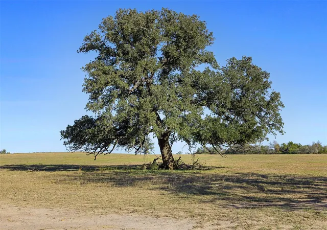 Photo 2 of Land for sale at Tbd Stockade Ranch Rd, Paige, TX 78659 | MLS# 1686716 | Listing updated on 2026-09-17