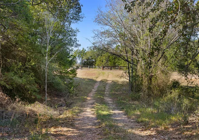 Photo 4 of Land for sale at Tbd Stockade Ranch Rd, Paige, TX 78659 | MLS# 1686716 | Listing updated on 2026-09-17