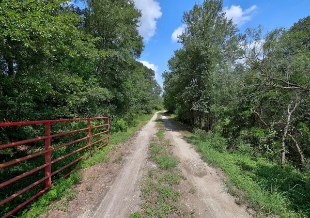 Photo 2 of Single family home for sale at 326 The Forest Rd, Dale, TX 78616 | MLS# 6395428 | Listing updated on 2026-09-06