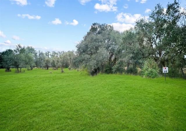 Photo 3 of Land for sale at Tbd Wild Wing Preserve, Columbus, TX 78640 | MLS# 6949628 | Listing updated on 2026-07-25