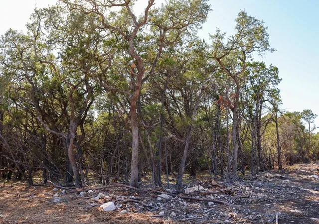 3rd image of 3101   2 Longhorn Trl, Wimberley, TX 78676 | MLS# 9255134