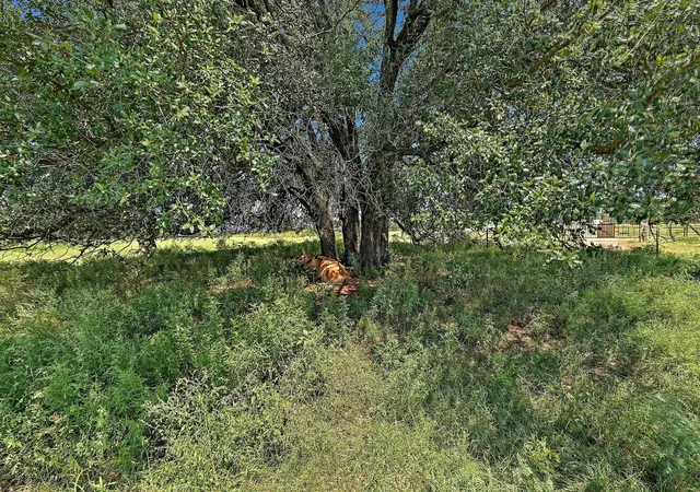33rd image of 255 Skyline Dr, Marble Falls, TX 78654 | MLS# 4087192