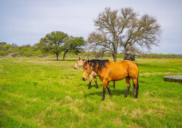 Photo 2 of Land for sale at 3019 South Hwy 16, Llano, TX 78643 | MLS# 5244924 | Listing updated on 2026-04-01