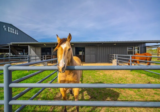 Photo 3 of House for sale at 3019 South Hwy 16, Llano, TX 78643 | MLS# 5244924 | Listing updated on 2026-04-01