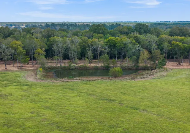 Photo 4 of Land for sale at 9999 Fm 834, Hardin, TX 77564 | MLS# 6987221 | Listing updated on 2026-03-17
