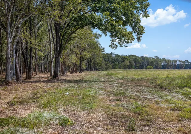 Photo 2 of Land for sale at 9999 Fm 834, Hardin, TX 77564 | MLS# 6987221 | Listing updated on 2026-03-17