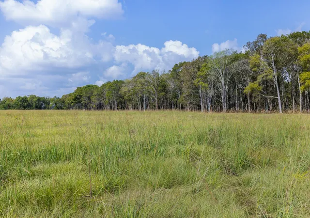 Photo 3 of Land for sale at 9999 Fm 834, Hardin, TX 77564 | MLS# 6987221 | Listing updated on 2026-03-17
