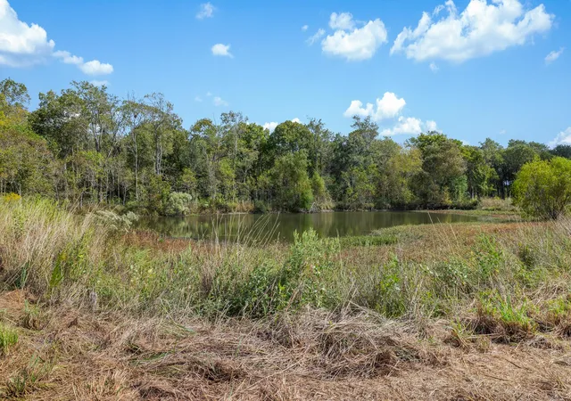 Photo 3 of Land for sale at 9999 Fm 834, Hardin, TX 77564 | MLS# 6987221 | Listing updated on 2026-03-17