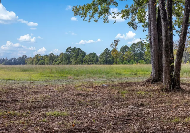 Photo 1 of Land for sale at 9999 Fm 834, Hardin, TX 77564 | MLS# 6987221 | Listing updated on 2026-03-17