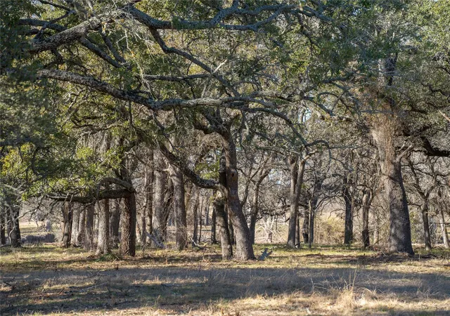 Homes for sale in Lometa, TX | Tbd Us 190 Hwy, Lometa, TX 76853 | MLS# 8613066