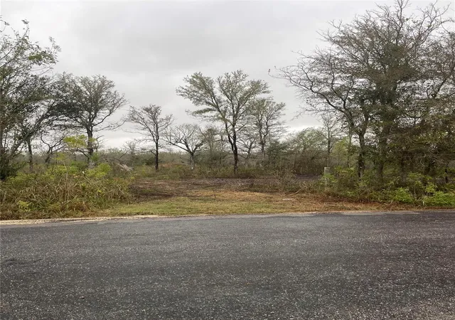 1st image of 0000 Balch Rd, Elgin, TX 78621 | MLS# 6094529