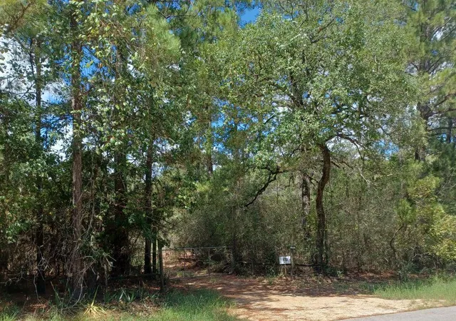 Photo 3 of Manufactured home for sale at 172 Pine Cyn Dr, Smithville, TX 78957 | MLS# 2245003 | Listing updated on 2026-09-03