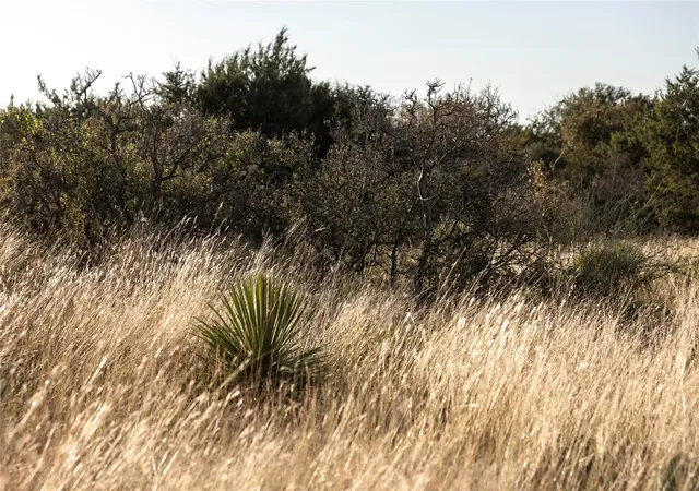 image of Tbd W Rr 962, Round Mountain, TX 78663 | MLS# 8080561