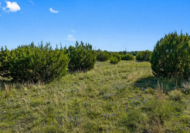 Homes for sale in Johnson City, TX | 386 Appaloosa Run, Johnson City, TX 78663 | MLS# 8546161