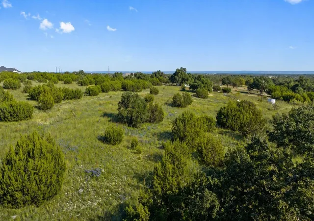 Homes for sale in Johnson City, TX | 386 Appaloosa Run, Johnson City, TX 78663 | MLS# 8546161