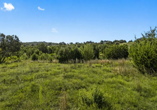 Homes for sale in Johnson City, TX | 386 Appaloosa Run, Johnson City, TX 78663 | MLS# 8546161