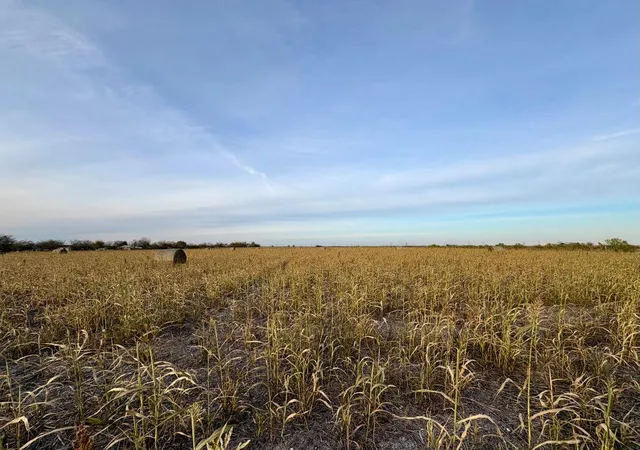 1st image of 366 County Road 123, Buckholts, TX 76518 | MLS# 4125301