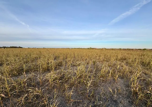 2nd image of 366 County Road 123, Buckholts, TX 76518 | MLS# 4125301