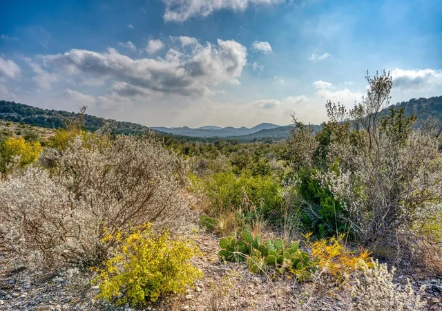 4th image of 00 Hwy 55 Lot 1,19, Uvalde, TX 78801 | MLS# 1258712