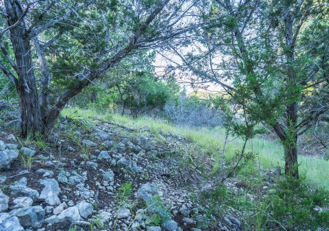 Photo 4 of Land for sale at Tbd Crabapple Rd, Blanco, TX 78606 | MLS# 2866624 | Listing updated on 2026-08-27