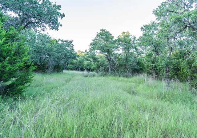 17th image of Tbd Crabapple Rd, Blanco, TX 78606 | MLS# 2866624
