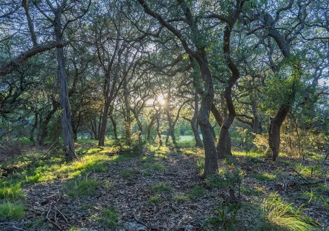 3rd image of Tbd Crabapple Rd, Blanco, TX 78606 | MLS# 2866624
