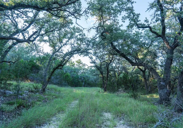 5th image of Tbd Crabapple Rd, Blanco, TX 78606 | MLS# 2866624