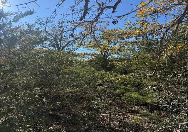 7th image of Tbd Leisure Ln, Cedar Creek, TX 78612 | MLS# 3222220