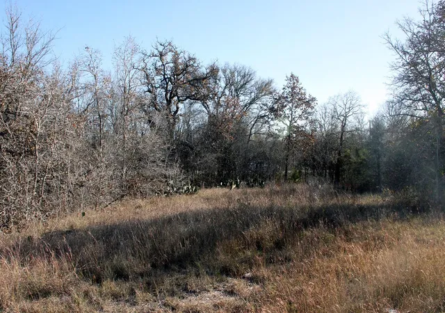 Homes for sale in Dale, TX | 100 Track Road Hwy, Dale, TX 78616 | MLS# 5717021