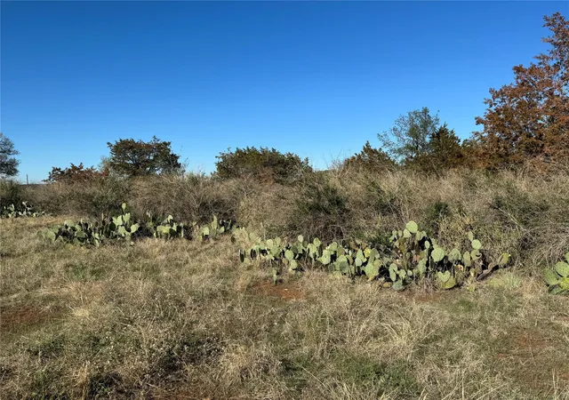 4th image of 6939 Fm 690, Burnet, TX 78611 | MLS# 6810607