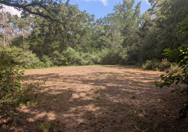 34th image of 9278 N Hwy 77 Hwy, Lexington, TX 78947 | MLS# 7019773
