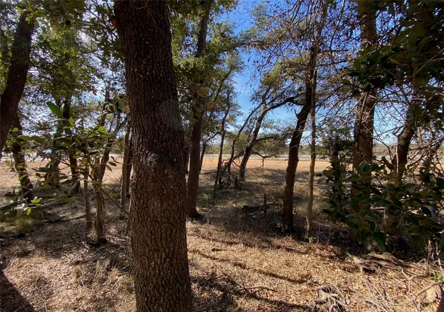 Photo 3 of Land for sale at 101 Fayt Ct, Georgetown, TX 78628 | MLS# 5978891 | Listing updated on 2026-07-28