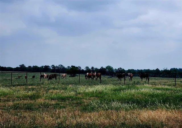 1st image of Tbd County Road 446, Waelder, TX 78959 | MLS# 8412357