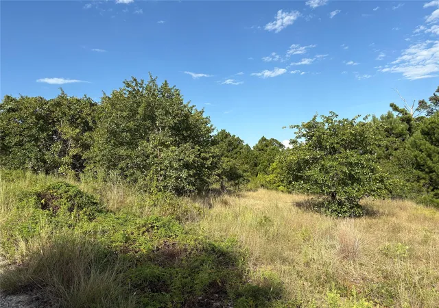 1st image of Tbd Kimo Ct, Bastrop, TX 78602 | MLS# 7819517