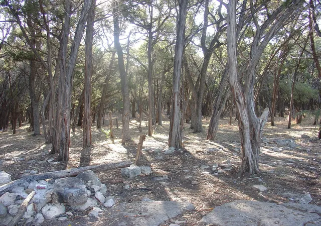 23rd image of 1400 Lisa Dr, Austin, TX 78733 | MLS# 2403003