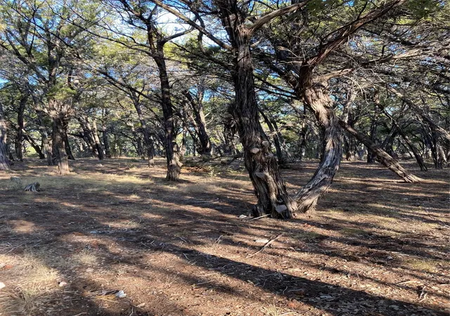 4th image of 1400 Lisa Dr, Austin, TX 78733 | MLS# 2403003