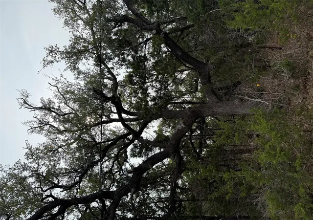 10th image of Tbd Lot 1 Pump Station Rd, Wimberley, TX 78676 | MLS# 8714797