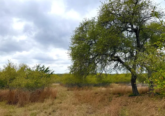 2nd image of 103 Ira Long, Blanco, TX 78606 | MLS# 1200640