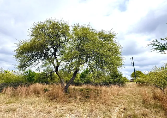5th image of 103 Ira Long, Blanco, TX 78606 | MLS# 1200640