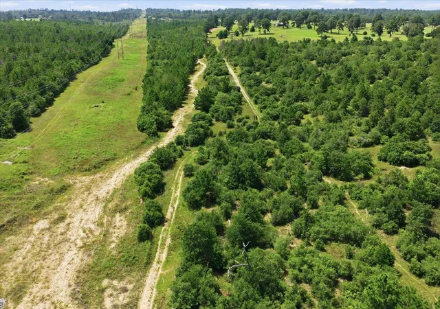 Photo 3 of Land for sale at Tbd Highway 21 E, Bastrop, TX 78602 | MLS# 1102356 | Listing updated on 2026-07-20